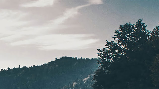 关于黄***网的信息